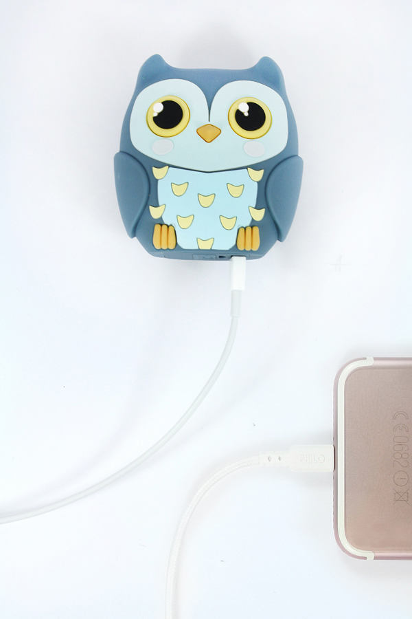 [MP-001-OW] Baby Owl Batterie