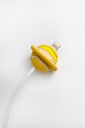 Planet Cable Bite