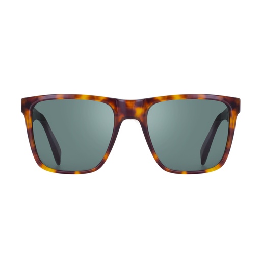 [B087] Bonifacio Brown Havana