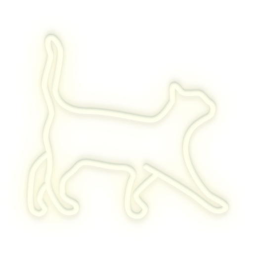 [CS001CA] Cat 40