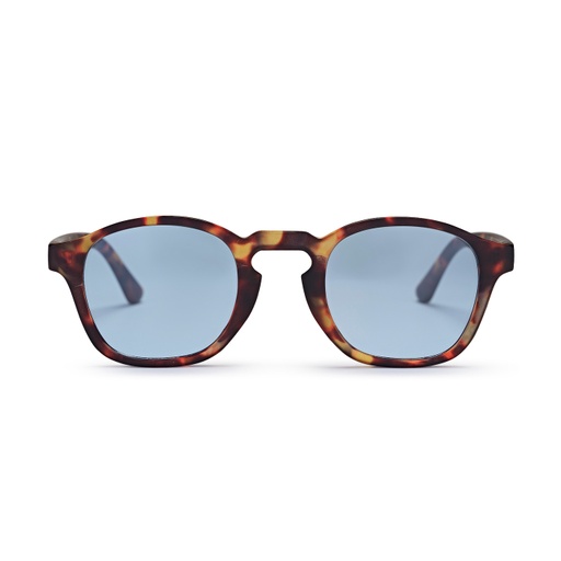[16133JA] Gee Turtle Brown / Blue Mirror