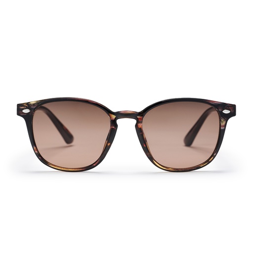 [16133VB] Alva Turtle Brown / Brown